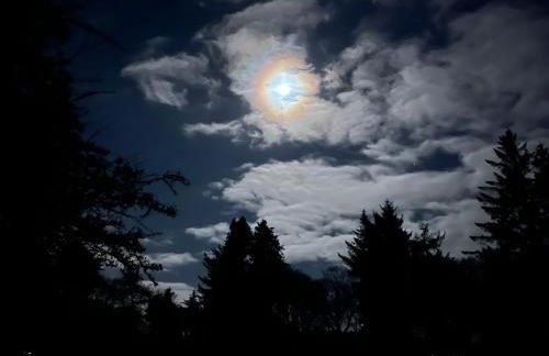 Lovely Carlung House - Foto 28