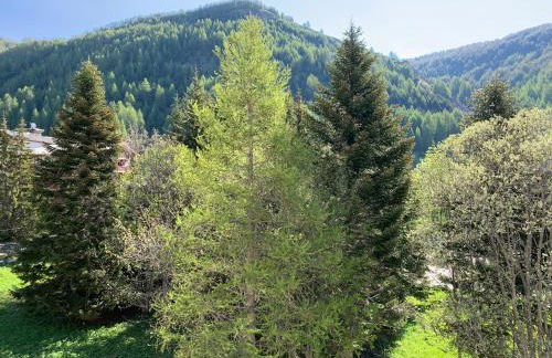 Les Terrasses de Labrau - Foto 17