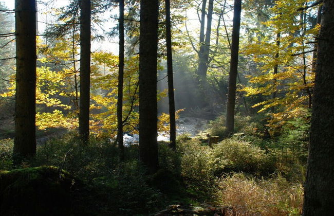 Attractive Apartment in Haidmuhle - Foto 12