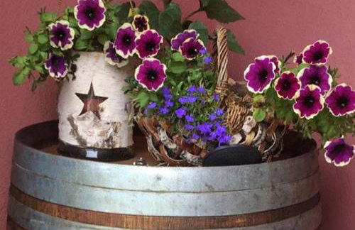 Ferienwohnung Aroma Moselblick - Foto 15