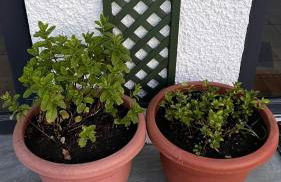 Beautiful Highland Sanctuary - Foto 9