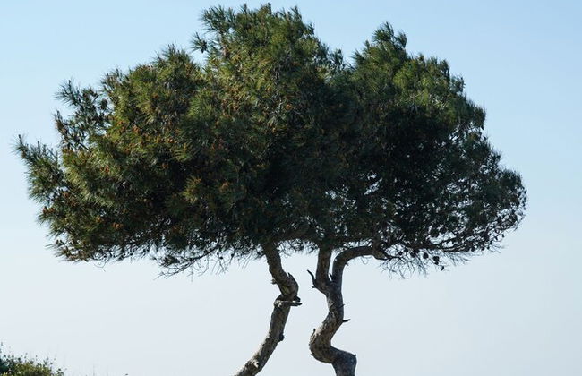 Secret Aktis by BluPine - Foto 28