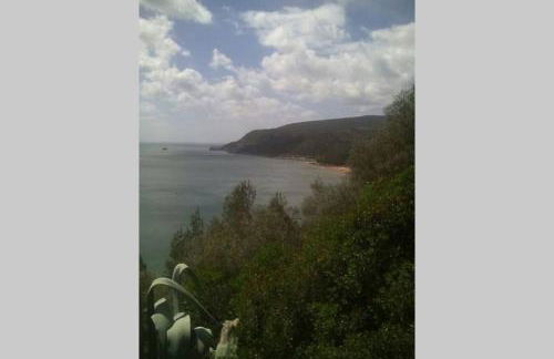 Páteo da Memória Casa do Pintor - Foto 31