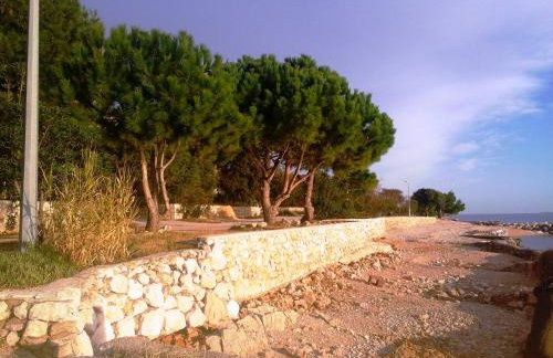 Apartments Dvorski - Photo 25