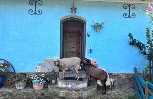 Pod tulipanem nad jeziorem - Foto 5