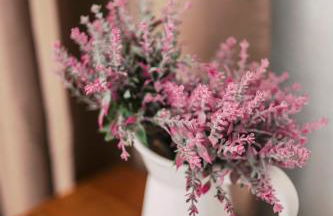 Olympia's Cozy Guesthouse - Foto 17