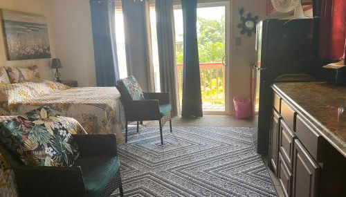 Nice Studio w/ AC near Kehena Beach and lava fields - Foto 4