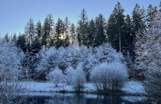 Ferienwohnung mit Balkon im Schwarzwald - Foto 32