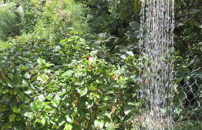 Reef Holiday Apartments - Foto 36