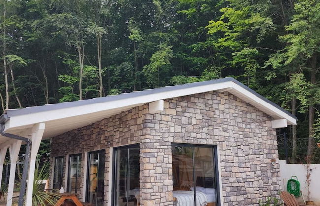 New Balturk Villas Sapanca - Foto 60