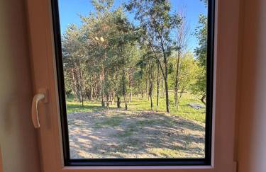 Farma Albert Korzenie - Foto 57