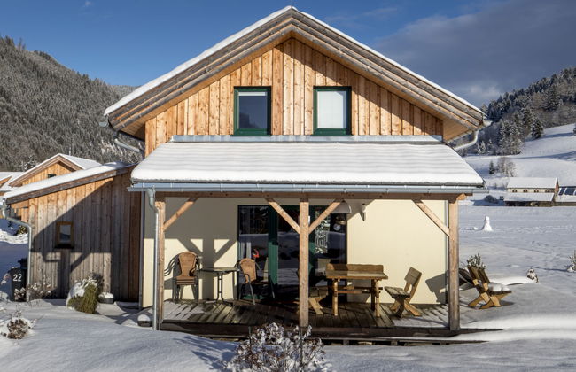 Superior # 15 mit IR-Sauna & Sprudelbad - Photo 38