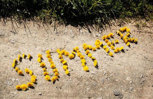 Villas Winterberg - Foto 87