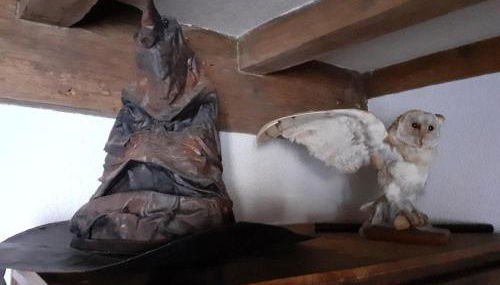 Le terrier des sorciers - Foto 5