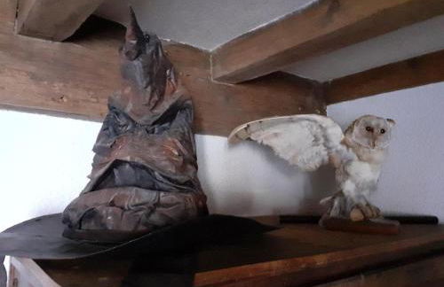 Le terrier des sorciers - Foto 5