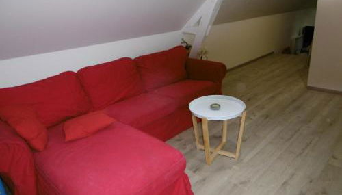 Le petit domaine des Aubuis - Photo 4