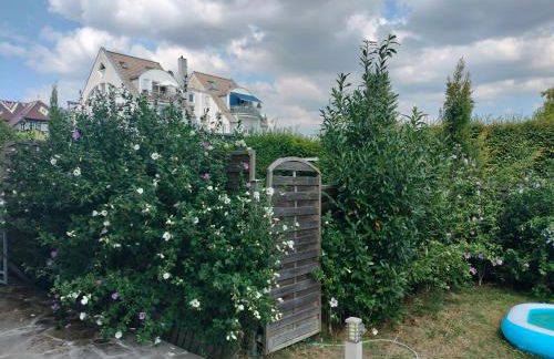 Mietangebote Info - Trebur - Foto 9