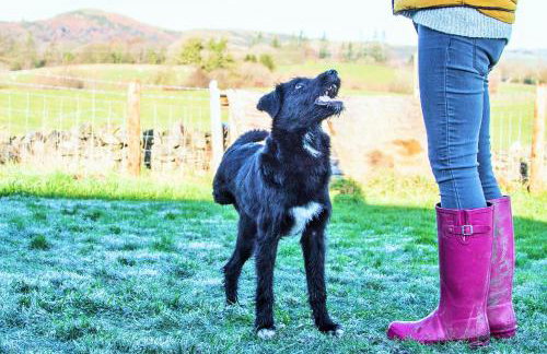 The Orchards - Foto 17