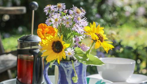 The Daffodil Shed - Foto 3