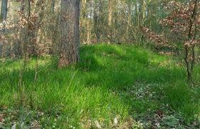 Lütt Verbliev - Foto 32