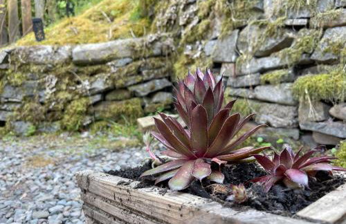 Yairbrig Holiday - Foto 14