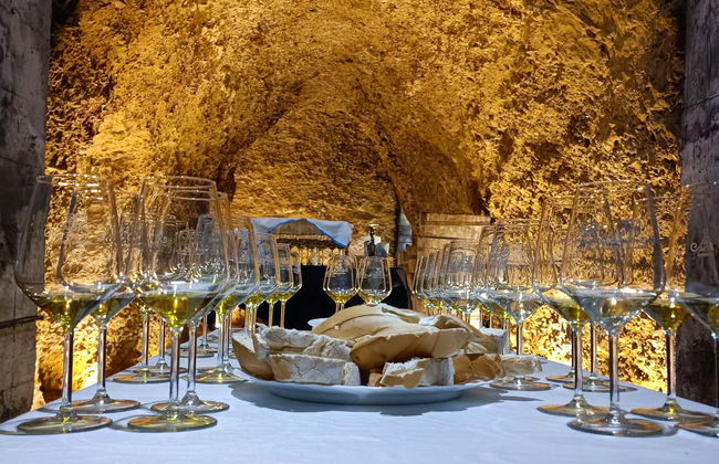 Visite des caves à vin Dorretxe + Dégustation d'huile d'olive - Photo 2