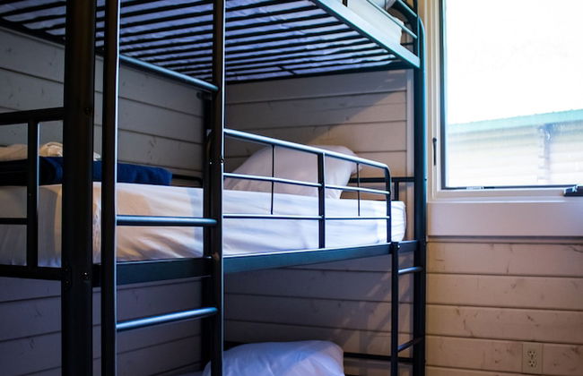 Carowinds Camp Wilderness - Foto 1