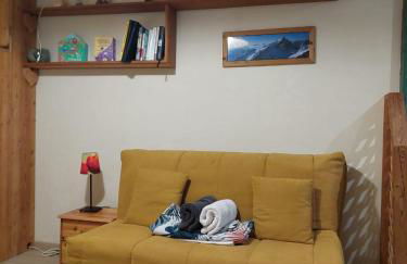 T2ideal vue imprenable sur la guisane - Photo 7