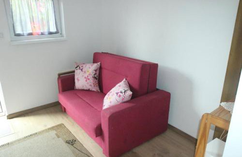 Dworska Zagroda - Foto 16