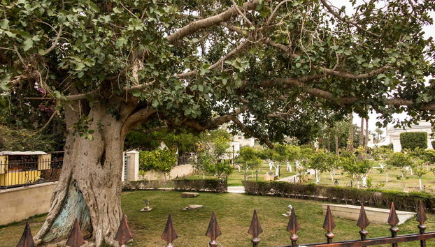 Bethlehem & Jericho Day Trip - Photo 4