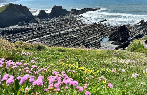 stayinhartland Quincecote shepherds hut - Foto 16