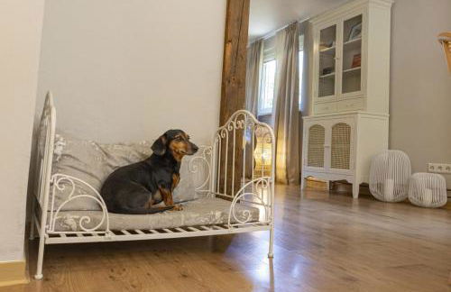 Ferienhaus Pure Jagst, Traum-Lage am Fluss mit Kaminzimmer und Infrarot-Wärmekabine - Foto 2