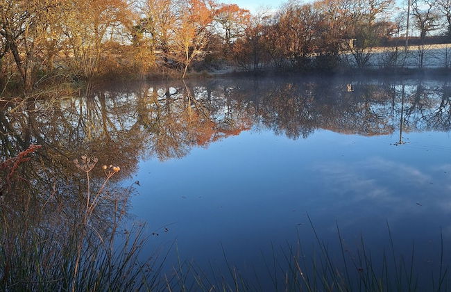 Thornbury Holiday Park - Foto 69