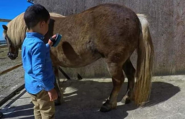 Agriturismo San Cataldo Farm Home - Photo 50