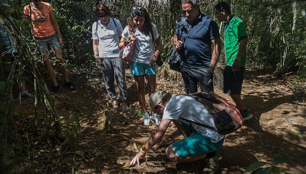 Le groupe à l'écoute des explications du guide