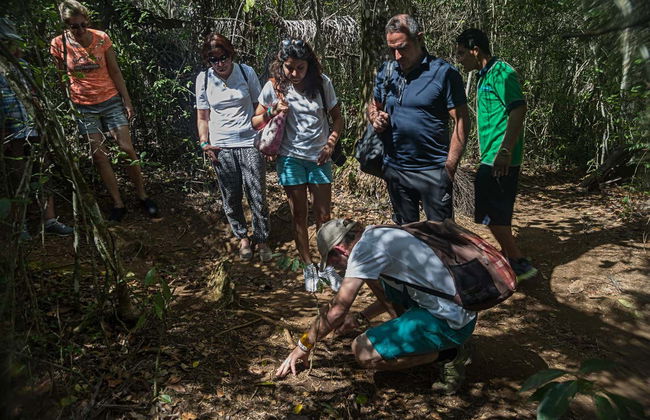 Escursione al parco Guanayara di Topes de Collantes - Foto 5