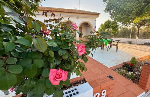 La Casa del Flamenco - Foto 1