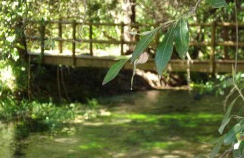 Casa Rural Casa Antiga - Foto 16