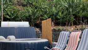 Pana House - Photo 4