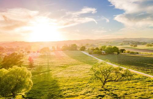 Castoro Cellars Hive and Hivette Wine Stay, Groups - Foto 44