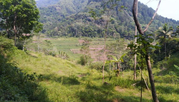 Borobudur Private Excursion + Hiking to Selogriyo Temple - Foto 3