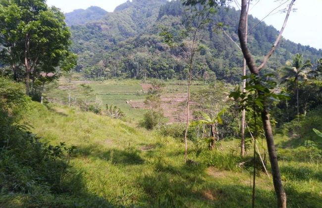 Borobudur Private Excursion + Hiking to Selogriyo Temple - Photo 3
