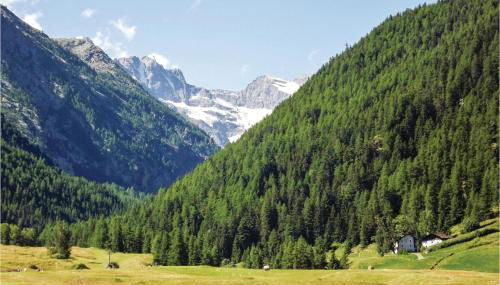 Maison Grapein - Photo 5