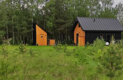 Ślusarnia-domek z sauną i balią nad jeziorem, Kaszuby - Foto 54