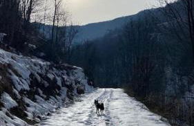 Little Canadian Lodge, Limone - Foto 10