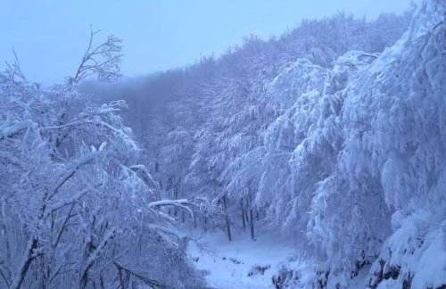 Gousios Apartments - Foto 41