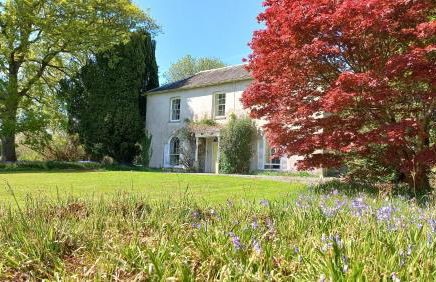 Gelly Dylan Thomas Paradise - Foto 1