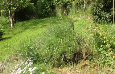 Au Coeur des Châteaux - Foto 20