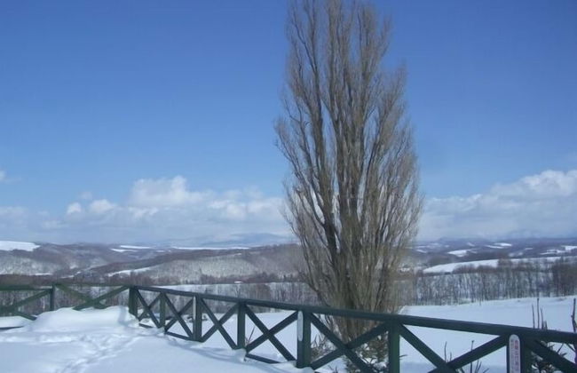 Cottage Ken&Mary - Foto 38