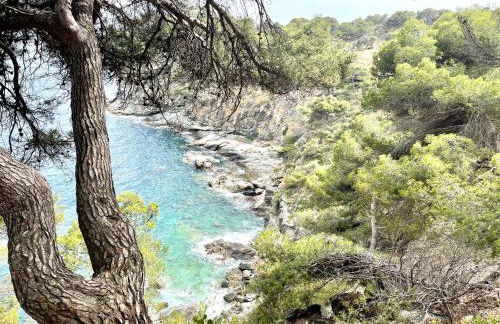 HOUSE OF PARADISE ROSES - Foto 49